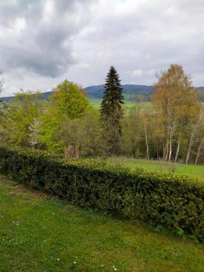 Apartament W Ogrodzie Tylka Buitenkant foto