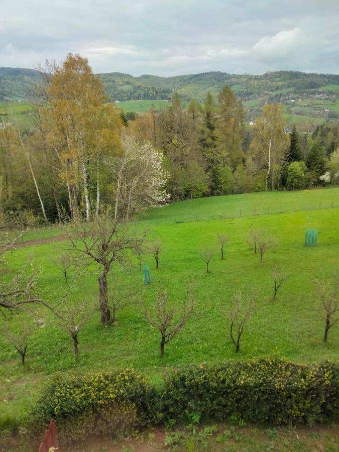 Apartament W Ogrodzie Tylka Buitenkant foto